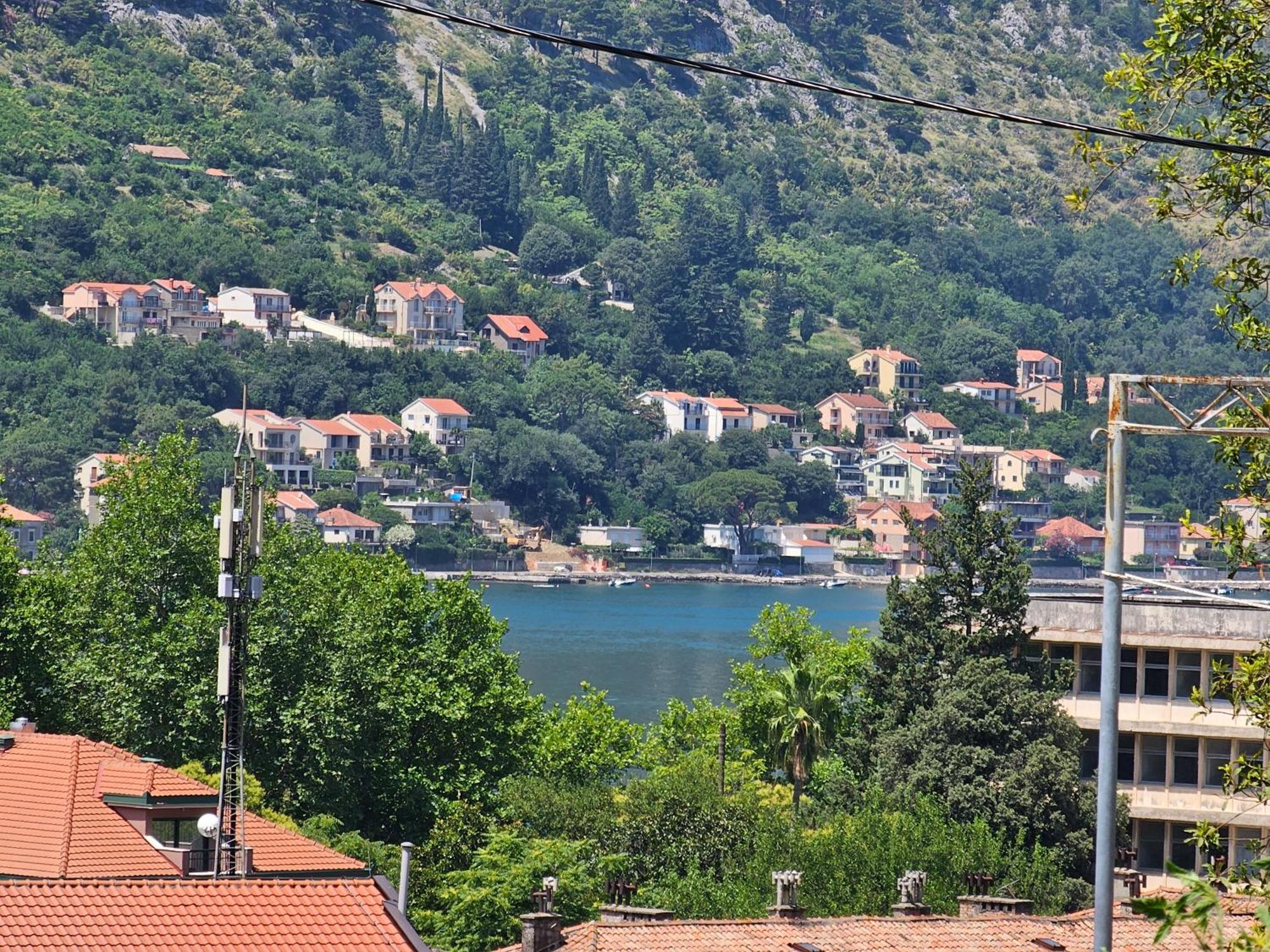 Clive Apartments Kotor Værelse billede